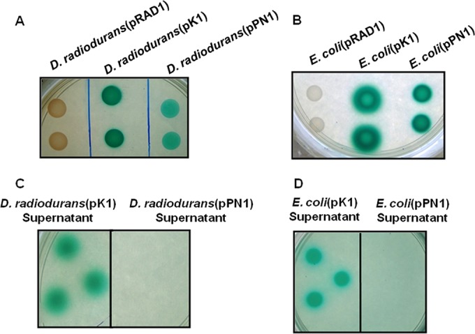 FIG 1