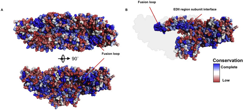 Fig. 1