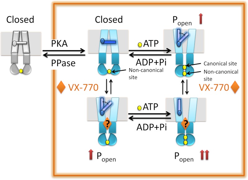 FIGURE 7.