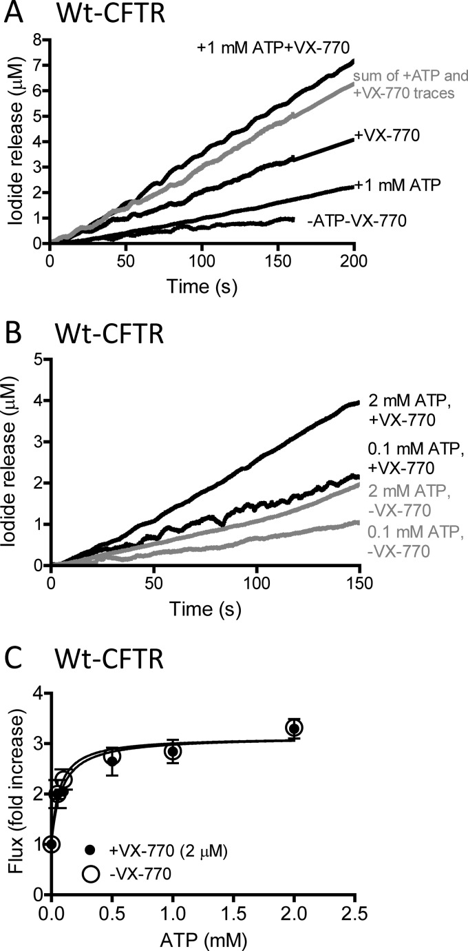 FIGURE 4.