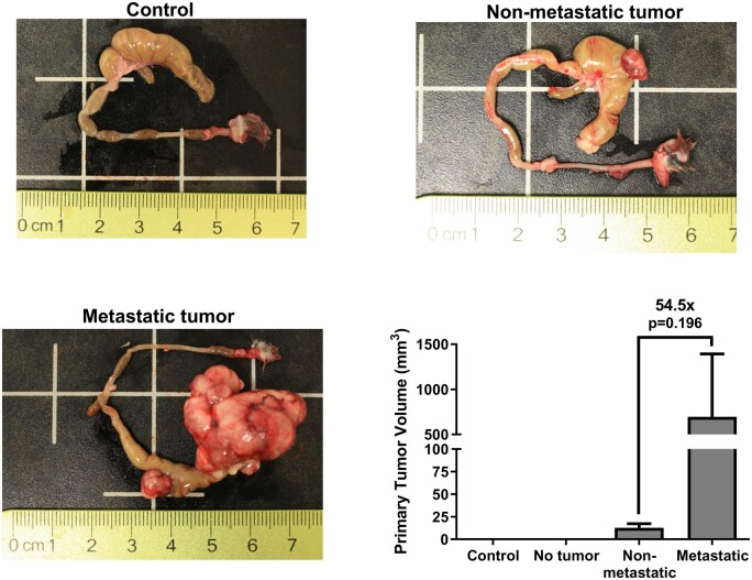 Figure 3: