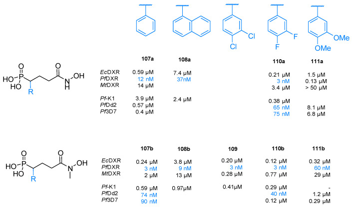 Figure 24