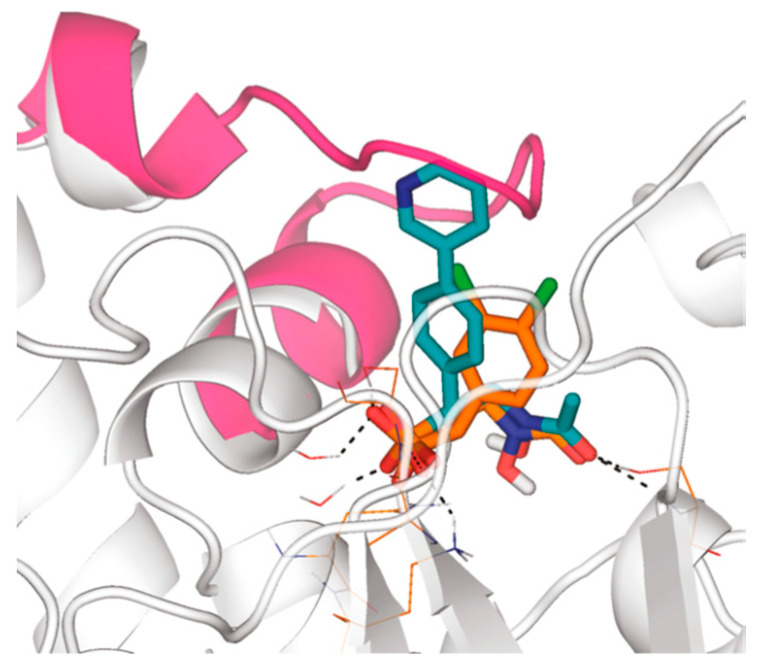 Figure 19