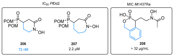 Figure 38