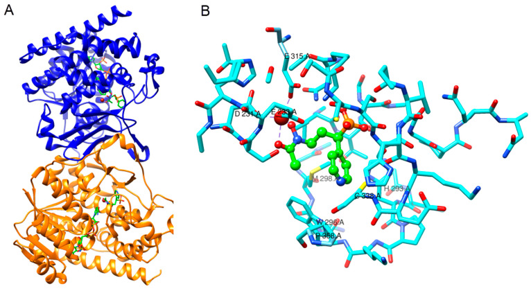 Figure 23