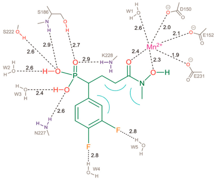 Figure 25