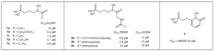 Figure 10