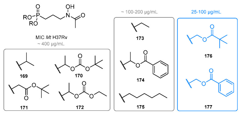 Figure 33