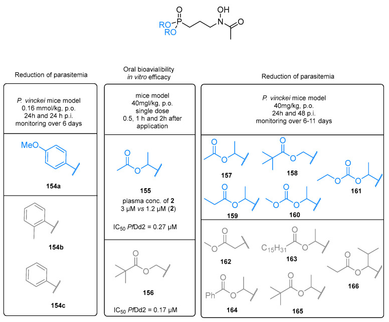 Figure 31