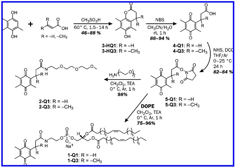 Scheme 3