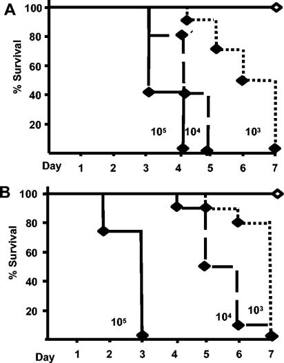 FIG. 5.