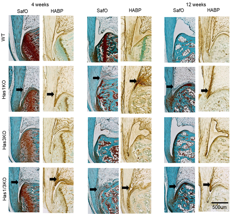 Figure 2: