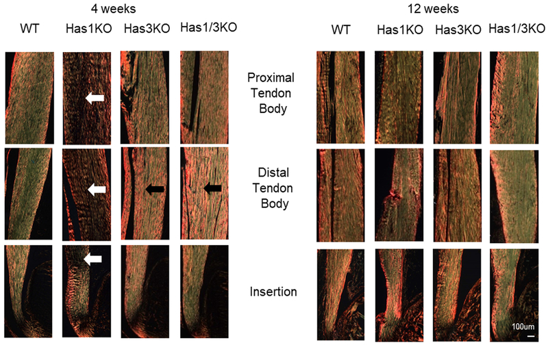 Figure 3: