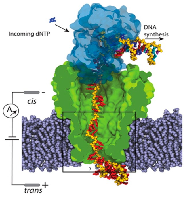 Figure 6