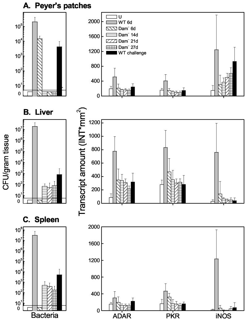 FIG.6.