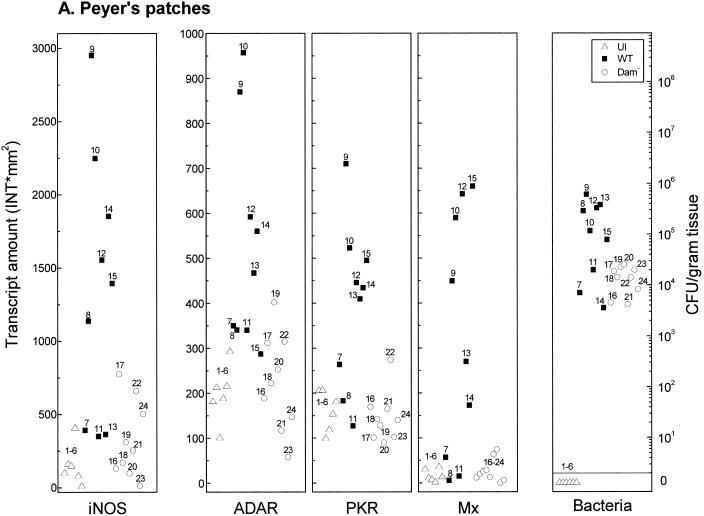 FIG. 3.