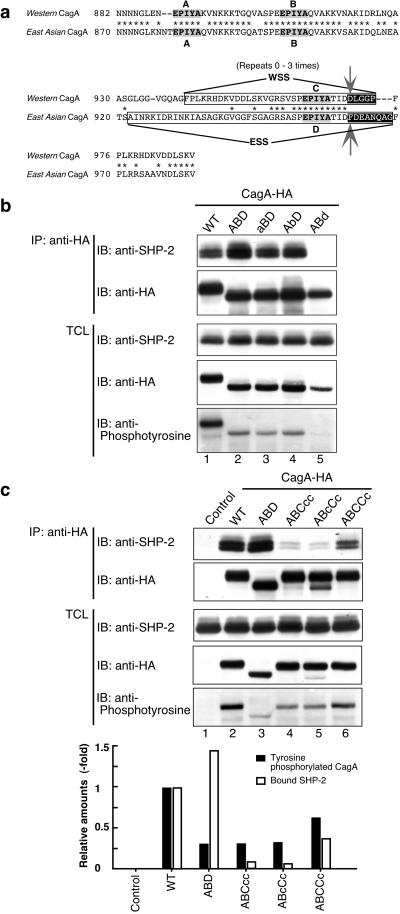 Fig 3.