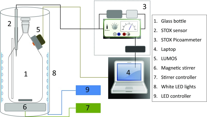 Fig. S5.