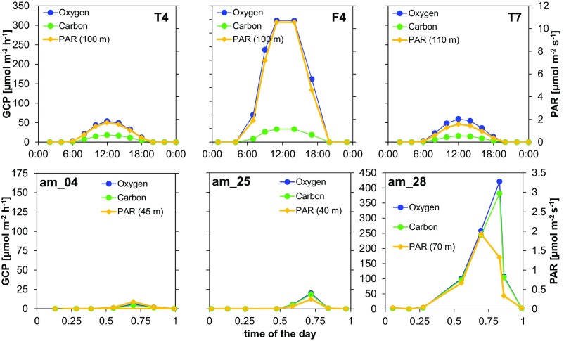 Fig. S4.