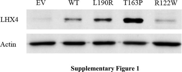 Supplementary Fig. 1