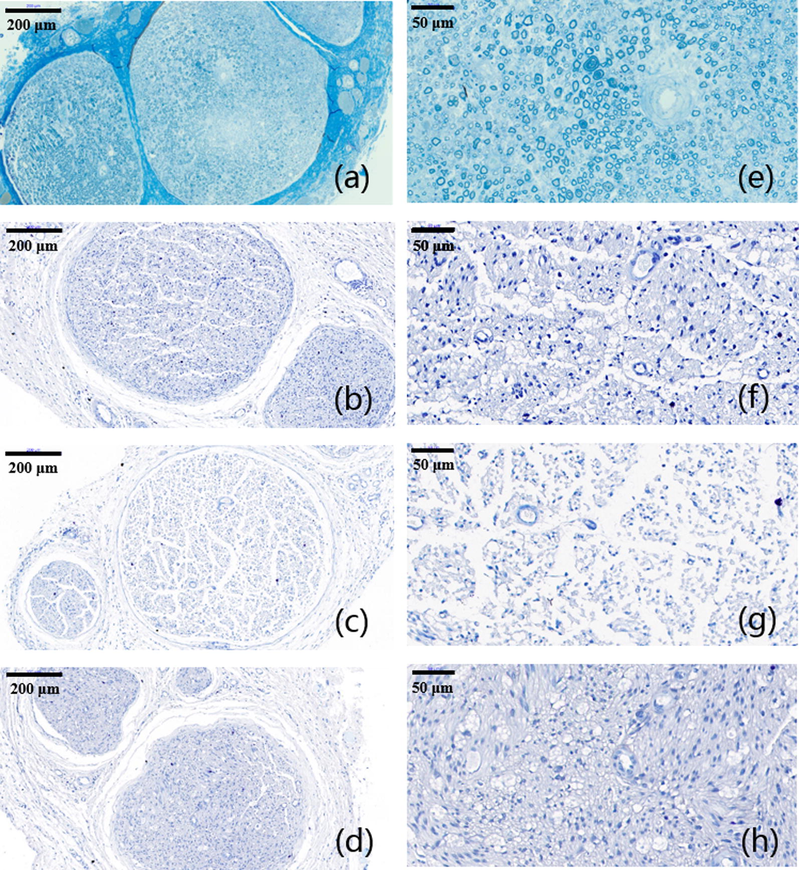 Fig. 9