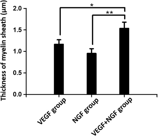 Fig. 12