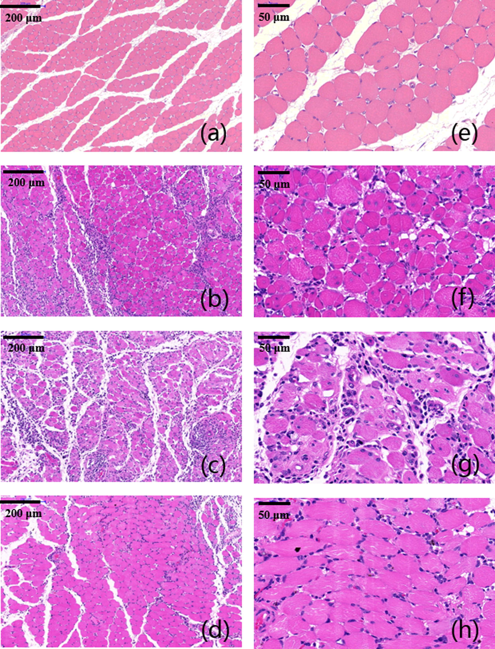 Fig. 10