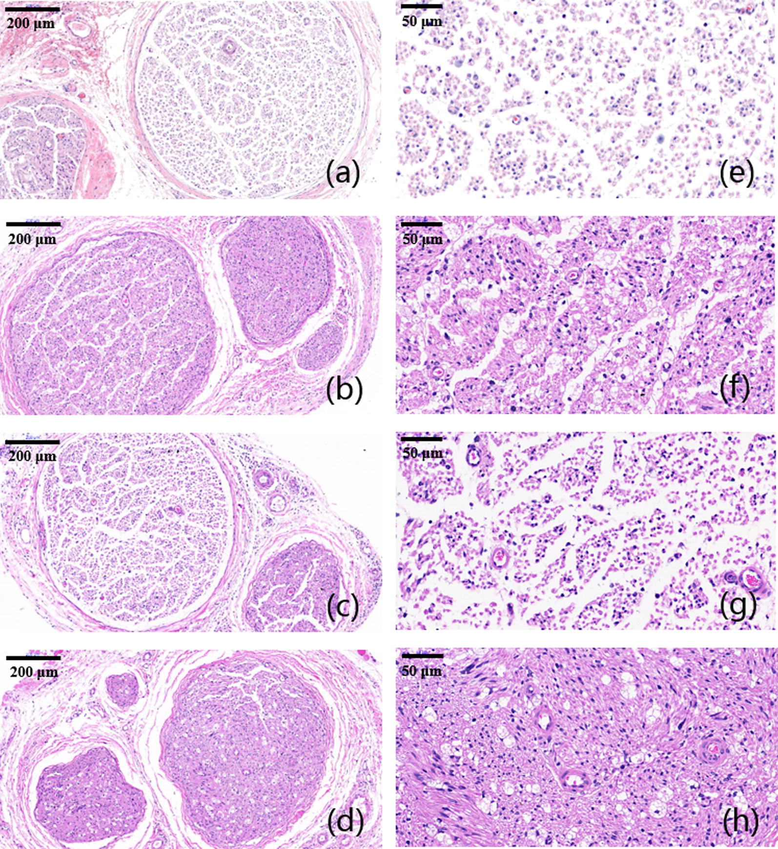 Fig. 8