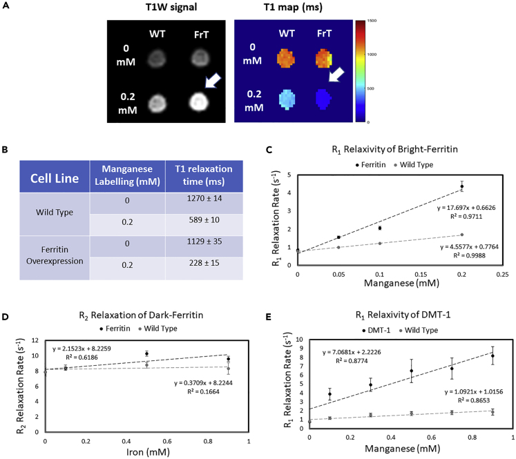 Figure 2