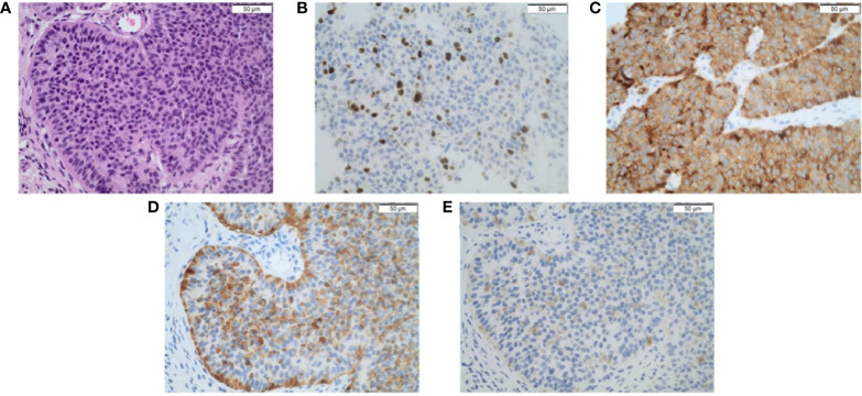 Figure 2