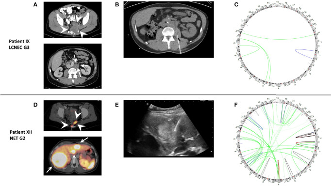 Figure 3