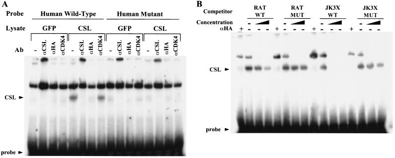 FIG. 6