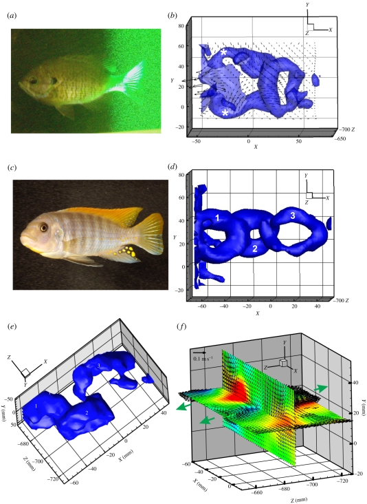 Figure 1.