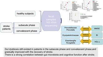 graphic file with name CNS-29-3416-g007.jpg