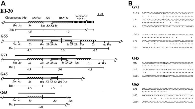 FIG. 7.