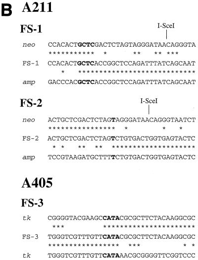 FIG. 4.