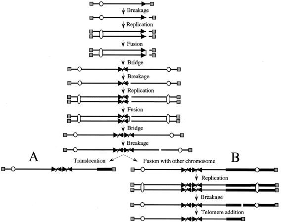 FIG. 8.