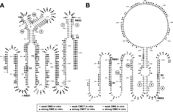 FIG. 7.