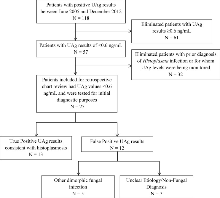 FIG 1