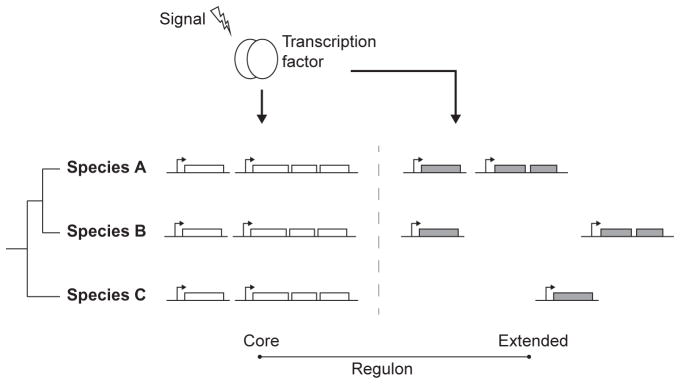 Figure 1.2