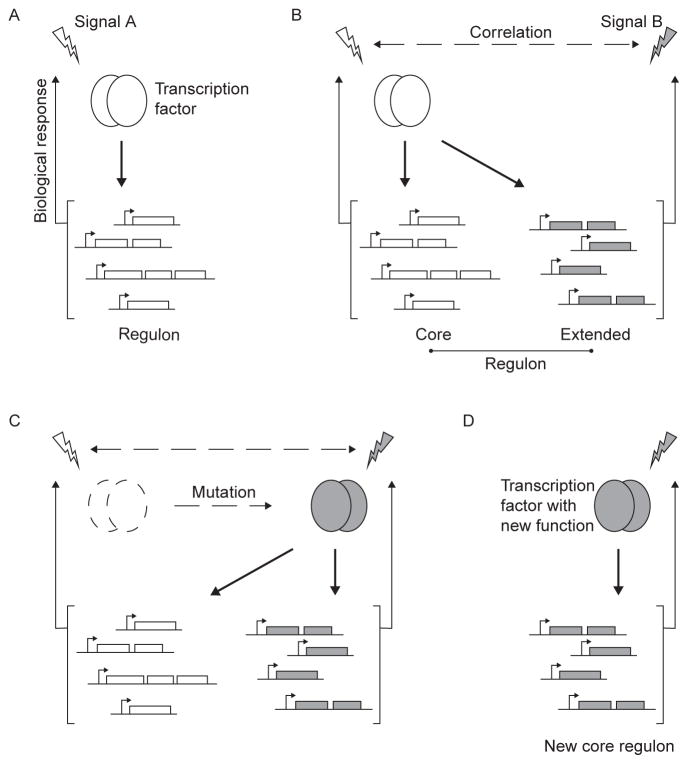 Figure 1.3