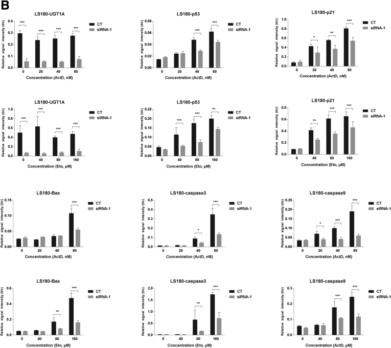 Supplementary Figure 1