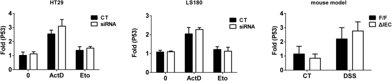 Supplementary Figure 2