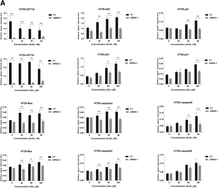 Supplementary Figure 1