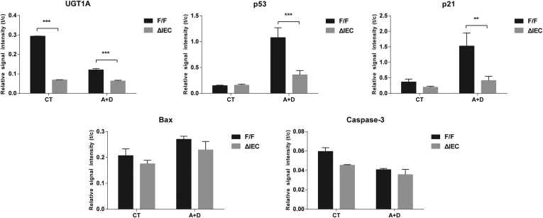 Supplementary Figure 5