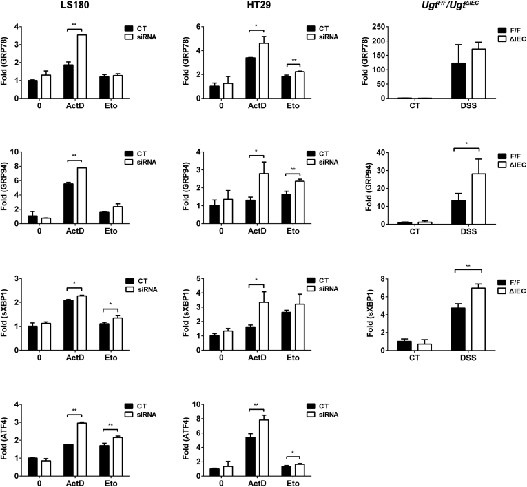 Figure 7