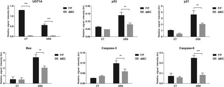 Supplementary Figure 3