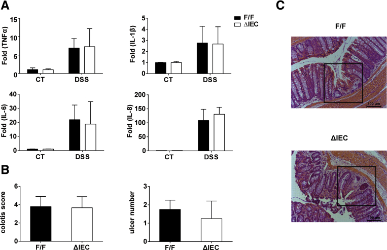 Supplementary Figure 4