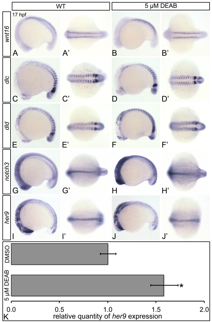 Fig 5