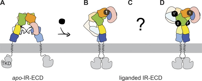 Figure 7.